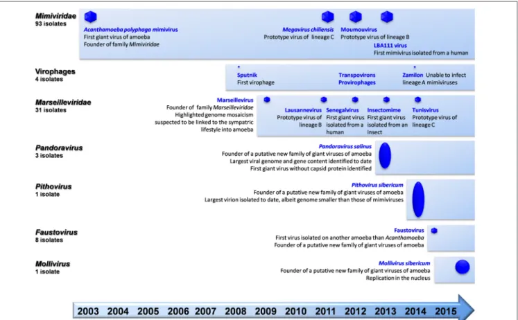 FIGURE 1 | Schematic of the chronological order of discovery of major representatives of giant viruses of amoeba and virophages, and current number of isolates per family.