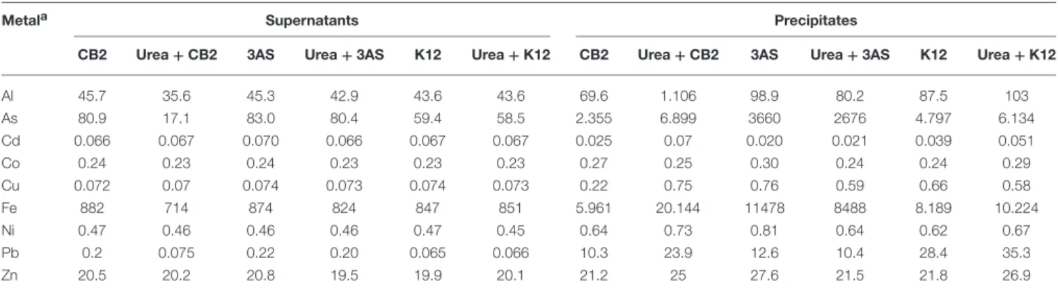 TABLE 2 | Metal content of the Precipitates and Supernatant obtained from 3As, CB2, and K12 cell cultures in AMD-impacted water.