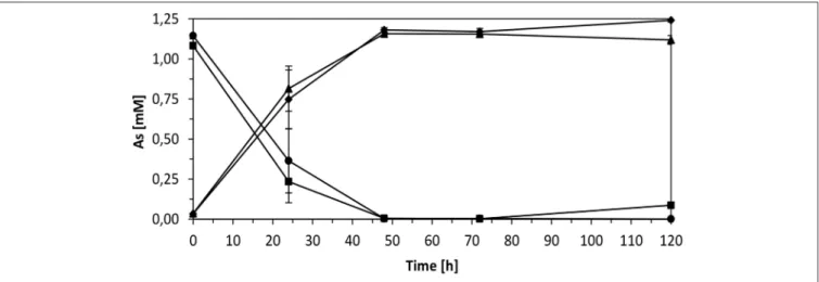 FIGURE 9 | Ability of Thiomonas strains to oxidize arsenite in m126. Cells were grown in m126 medium supplemented with 1.33 mM arsenite, in the absence (squares and triangles) and presence of 1 g.L −1 urea (diamonds and circles) and concentrations of As(II