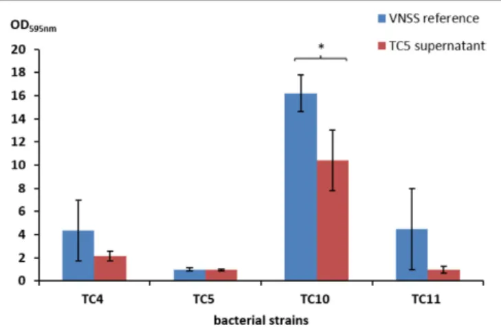FIGURE 4 | Antibiofilm activity of the TC5 supernatant on the marine bacteria biofilms