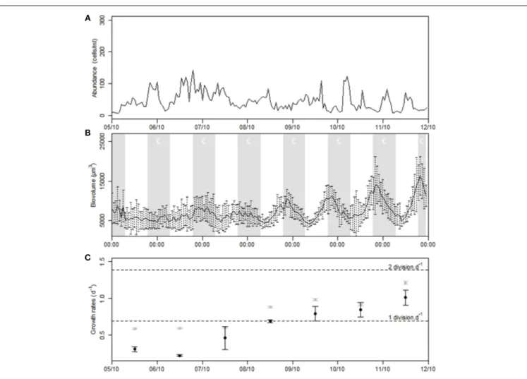 FIGURE 10 | Time series of the Gymnodinium cluster during the strong Mistral event. (A) Population dynamics