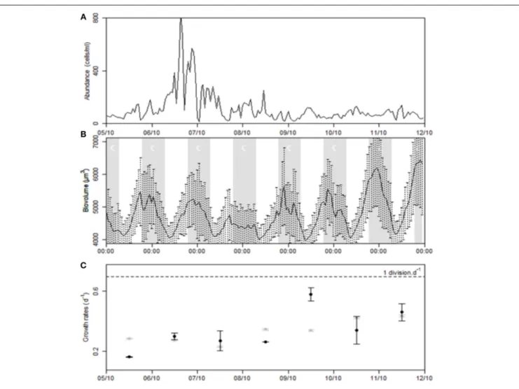 FIGURE 12 | Time series of the cluster C5 during the strong Mistral event. (A) Population dynamics