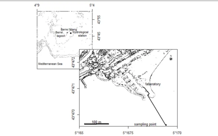 FIGURE 1 | Location of the sampling point (black circle) and the 250 m pipe (black line) to pump the water to the laboratory, settled on the Berre l’étang harbor.