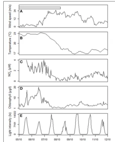 FIGURE 6 | Dynamics of the hydrological variables before, during and after the strong wind (Mistral) event