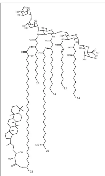 FIGURE 1 | Bradyrhizobium BTAi1 lipid A structure (Silipo et al., 2014).