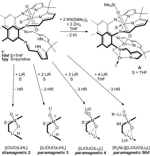 Figure 1. Synthetic procedures to diamagnetic and paramagnetic uranyl Pacman complexes