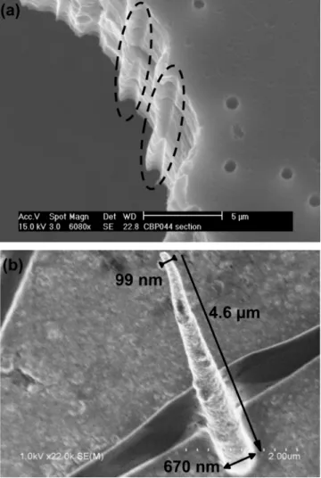 FIG. 1. (a) Electron microscopy image of the cone trace in the PET after freeze fracturing