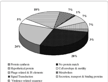 Figure 2 Functional categorization of diferentially expressed  genes. Genes of Xoo strain MAI1 found as differentially expressed in  planta were grouped into nine categories: biological process  un-known; hypothetical protein; protein synthesis; cell envel