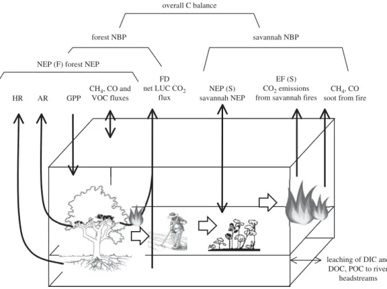 Figure 1. Illustration of the component ﬂuxes of the NECB (NEE, net ecosystem exchange; VOC, volatile organic compounds; DIC, dissolved inorganic carbon; DOC, dissolved organic carbon, PC, particulate carbon).