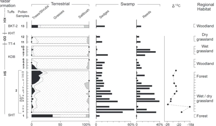 Fig. 2. Summary pollen diagram of the Hadar Formation, showing pollen frequencies from trees 兾 shrubs, grasses, and saltbush, calculated after excluding swamp component and fern spores