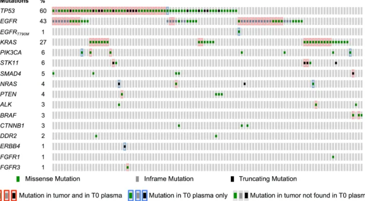 Fig 3. Mutations identified in tumor and in baseline plasma samples. Comparison of molecular alterations found in tumor tissue and/or in baseline (T0) plasma (n = 109 participants).