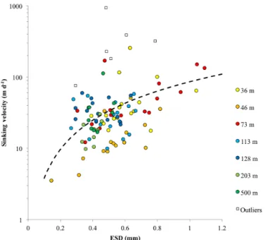 Figure 4. Flux of POC (mg C m −2 d −1 ) with depth at the PAP site.