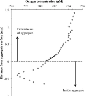 Figure 6. Respiration rates of phytodetrital aggregates with depth.