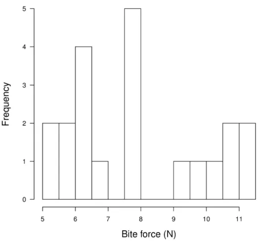 Figure 2 : Histogram of bite force in adult and subadult males of Mus spretus, representing the two groups  of potentially dominant and subordinate individuals