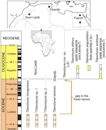 Figure 1. Temporal and geographic distribution of Titanohyrax species. Dashed  blocks highlight the poorly-constrained dating (late early or early middle  Eocene) for Gour Lazib and Chambi localities