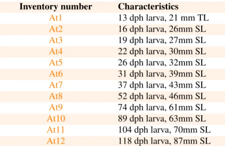Table 1. Inventory number, age and length characteristics for each specimen. TL: total length