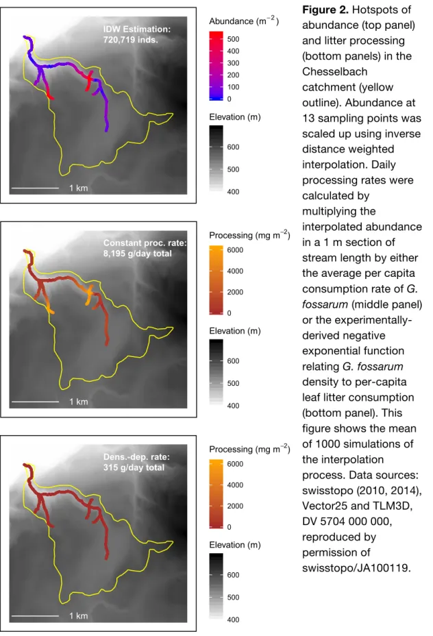 Figure 2. Hotspots of  abundance (top panel)  and litter processing  (bottom panels) in the  Chesselbach 