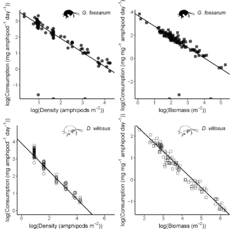 Figure S1. The association between density and per-capita consumption rate is  linear in log-log space, for both G