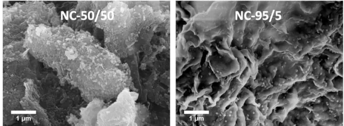 Figure 2. SEM images of NC-50/50 (left) and NC-95/5 (right)  250 