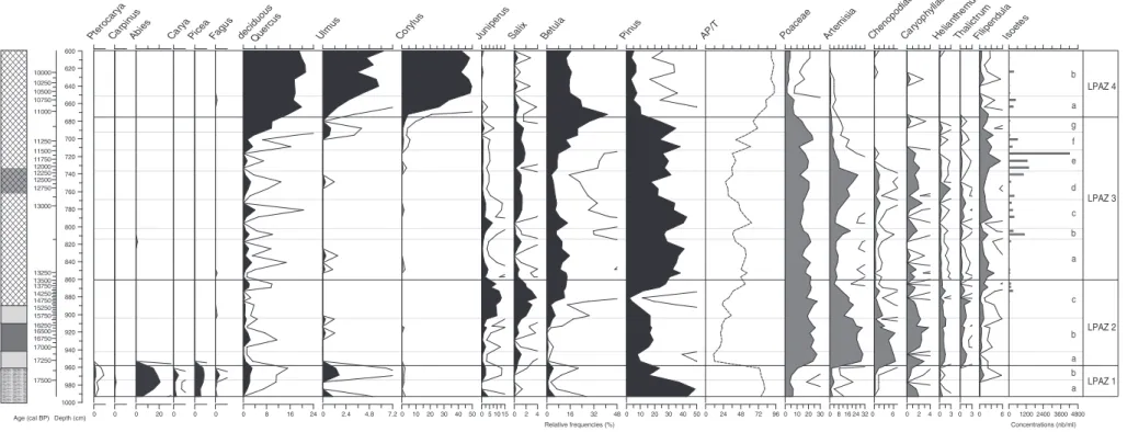 Fig. 4. Simpliﬁed pollen diagram of Roustières. Relative percentages of pollen taxa (grey shade for herb taxa and black shade for trees) are calculated from total pollen sum (minimum 300 terrestrial pollen grains)