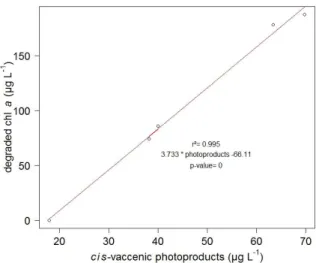 Figure  5.  Plot  of  the  correlation  between  the  amount  of  degraded  chlorophyll  a  and  produced  cis-vaccenic  acid  photoproducts  during  the  photodegradation  (first  light  period,  five hours) of non-axenic E