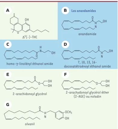 Figure  1. Structures  chimiques  du  ∆ 9 (-)-THC  (A),  des  endocannabinoïdes (endoCB) : anandamide (AEA) (B), homo- γ -linolényl éthanol amide (C),  doco-satétraénoyl éthanol amide (D), 2-arachidonoyl glycérol (2AG) (E) et  2-arachi-donoyl  glycérol  ét