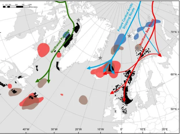 Fig.  4.  Overlap  between  the  non-breeding  distribution  of  tracked  little  auks  (Alle  alle)  and  the  development of future human activities in  the Arctic (oil/gas activities and shipping routes)