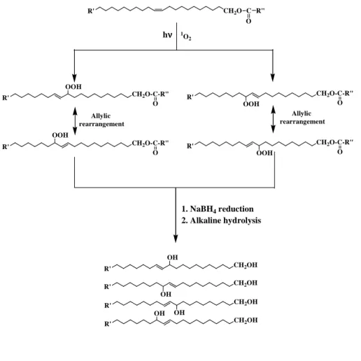 Fig. 6. Type II (i.e. involving singlet oxygen) photooxidation of C 20:1111 and C 22:1111 alkan-1-ols.