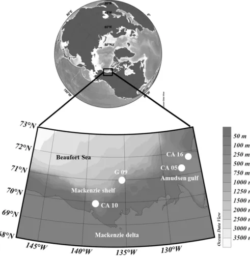 Fig. 1. Map of the studied area with locations of the different stations investigated.