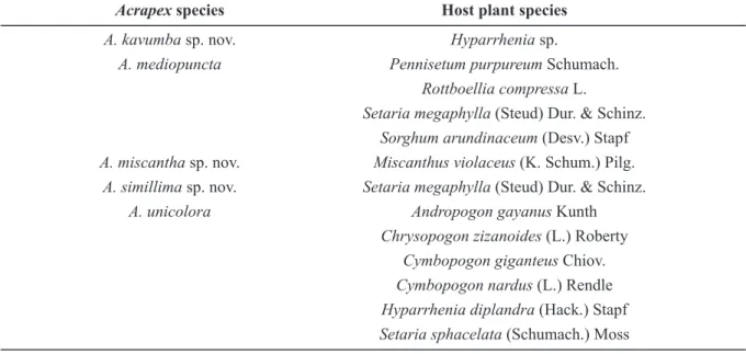 Table 3. Host plants on which larvae of the Acrapex unicolora group were collected.