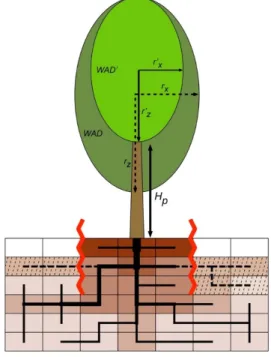 Figure 6. A simplified, 2D illustration of the branch and root pruning management interventions in  sAFe-Tree