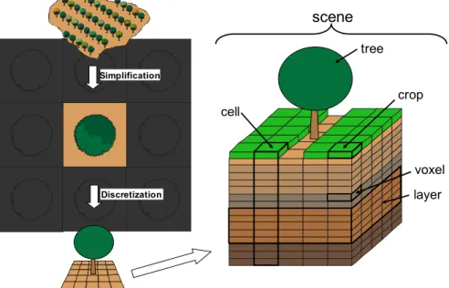 Figure 2. The simulated Hi-sAFe scene reduces a landscape into its simplest replicable unit and is  discretized into a 3D, spatially explicit voxel grid