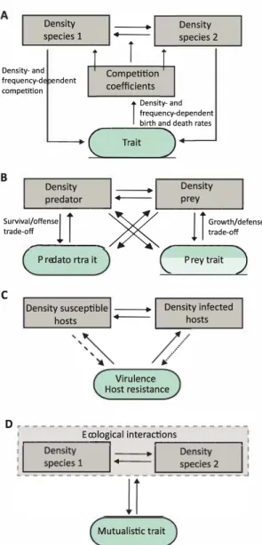 Figure  4:  Examples  of studies  in  which  feedbacks  occur  in  two-species  settings