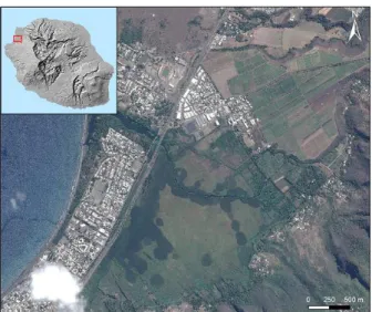 Figure 1 : Zone  d’étude  et sa localisation à La Réunion  (Image Pléiades du 27 août 2012)