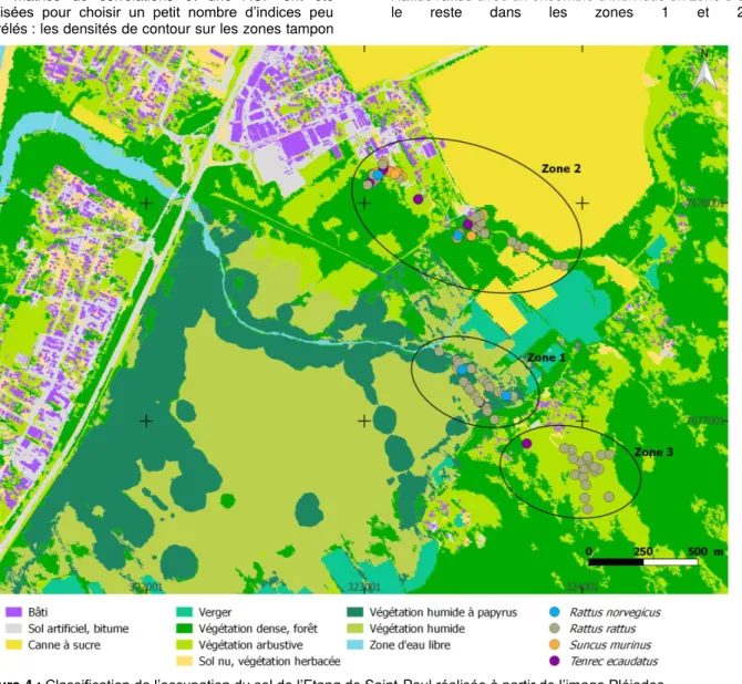 Figure 4 : Classification de l’occupation du sol de l’Etang de Saint-Paul réalisée à partir de l’image Pléiades