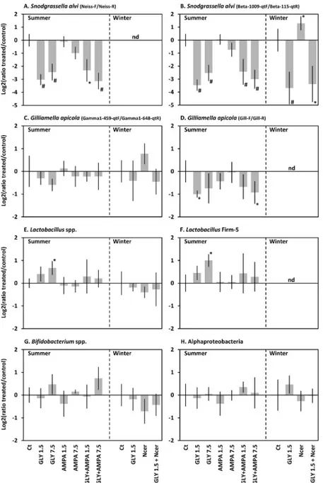 Fig 1. Abundances of the main bacterial taxa of the honeybee microbiota after chronic exposure to glyphosate and/or AMPA, relative to untreated controls