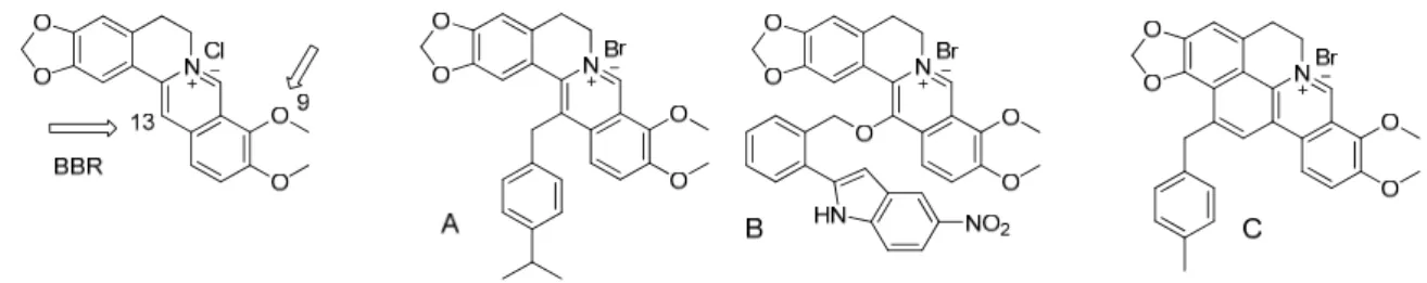 Figure 1. Chemical structure of reported antimicrobially active derivatives of berberine obtained by  modification by phenyl (A), ether link (B) or cycloberberine (C) at position 13