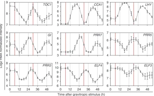 Figure 2 | Circadian oscillations in the lateral root time course. RNA expression patterns of the circadian clock genes CCA1, LHY, GI, TOC1, PRR7, PRR5, PRR3, ELF4 and ELF3, all of which oscillate in the lateral root data set
