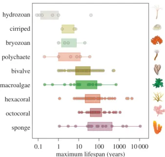 Figure 1. Longevity patterns across marine sessile species (n ¼ 241). Data were obtained from the literature and correspond to the maximum potential lifespan reported for each species for the main marine sessile taxa