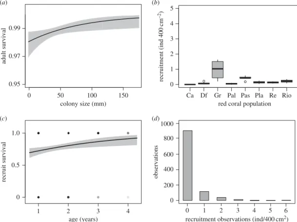 Figure 4. Long-term demographic traits of the red coral Corallium rubrum. (a) Adult survival probability depending on colony size