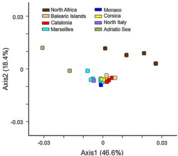 Table 4 Results of AMOVA on microsatellites (left) and EF1 sequences (right) in red coral