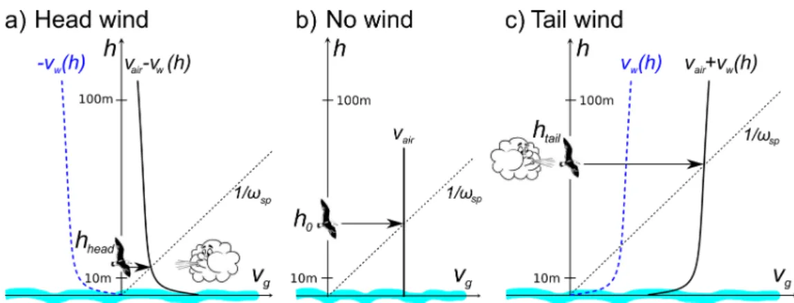 Figure 10. Gull’s speed and altitude for three different wind scenarios under the hypothesis that the gull adjusts its vertical thrust to maintain a constant ventral optic flow
