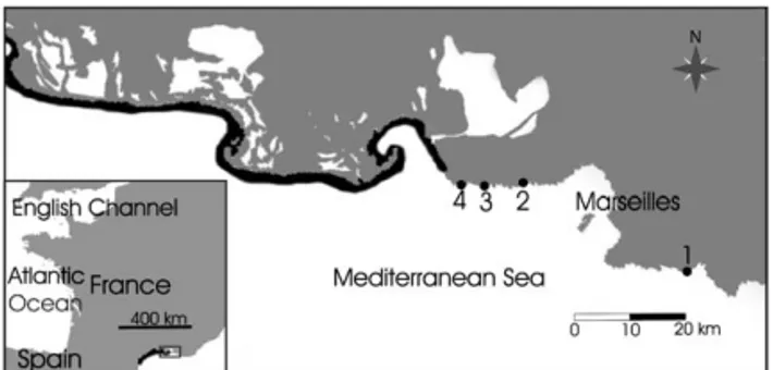 Fig. 1. Location of study sites: En-Vau (1), Niolon (2), Saus- Saus-set-les-Pins (3), Carro (4)