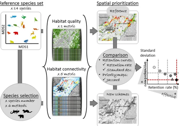 Fig. 1. General work flow. The reference spatial prioritization is obtained from one metric of habitat quality and five metrics of habitat connectivity for each of the 14 species within the reference set