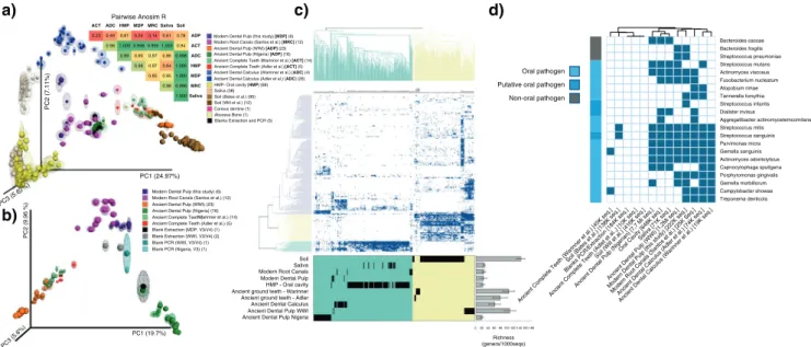 Fig. 1. Tracking back oral microbes in ancient and modern dental pulps. a PCoA based on UU distances using a reference-based OTU table.