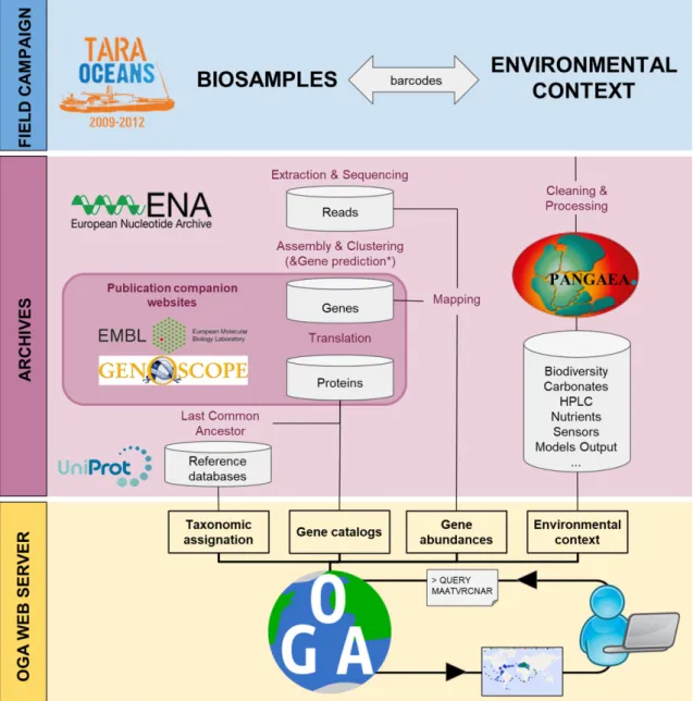 Figure 3. Tara oceans data sources for the the Ocean Gene Atlas workflow. Field campaigns (blue) have collected plankton biosamples and measured in situ environmental parameters