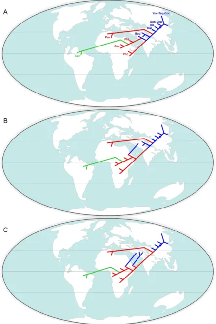 Figure 9. Tentative hypothetical scenarios of hystricognathous rodent dispersals between Asia, Africa and  South America during the Eocene, based on the results of the cladistic analyses