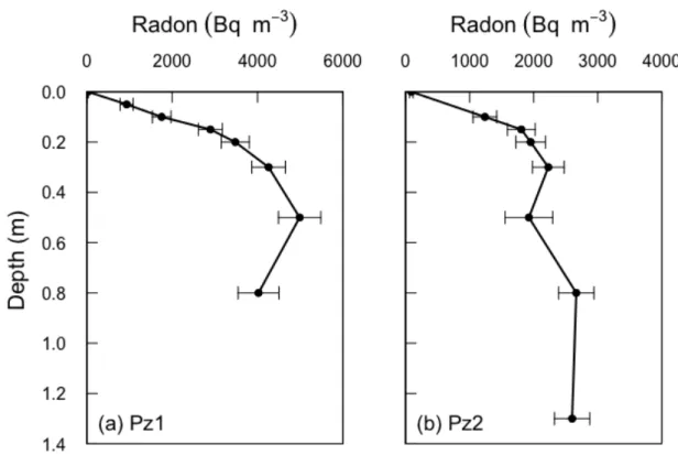 Figure 2. Observed radon profiles at two different locations within La Palme 893 