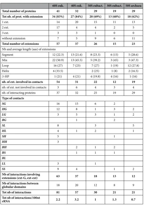 Table 1.   Statistics of extension numbers, types and interactions observed in the large and small ribosomal  subunits of the three domains (ribosomal subunit PDB identifiers for eukarya: 4v88, eubacteria: 4v8i,  archaea: 1s72).