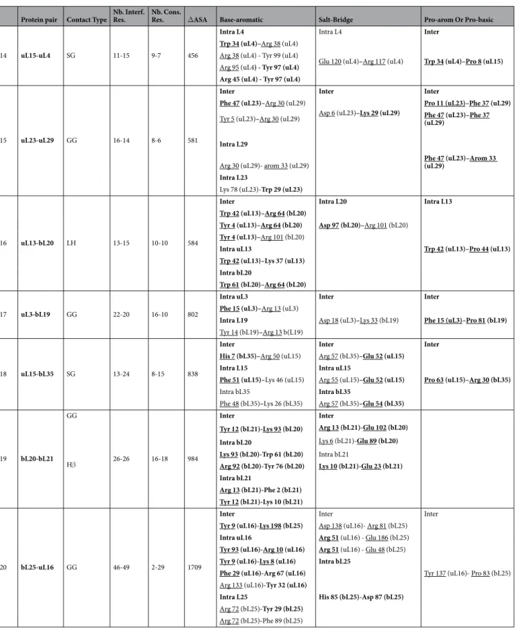 Table 2.   Structural properties of the protein interfaces within the eubacterial 50S subunit (pdb entry 4v8i)
